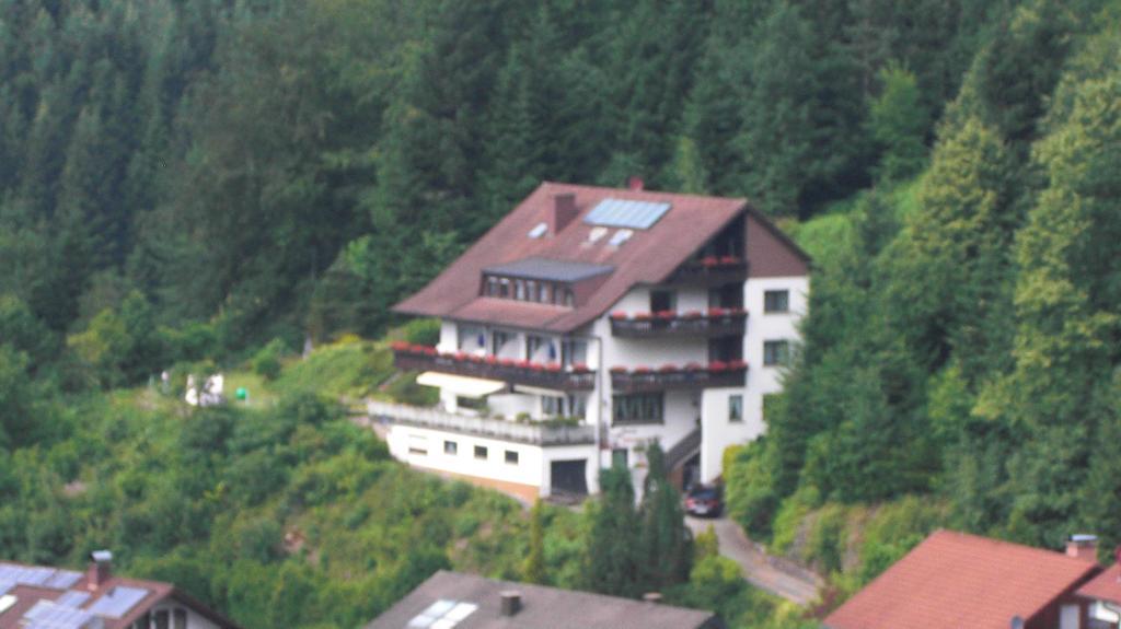 Pension Schwarzwaldblick Hornberg Exterior foto