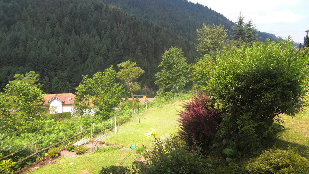 Pension Schwarzwaldblick Hornberg Exterior foto