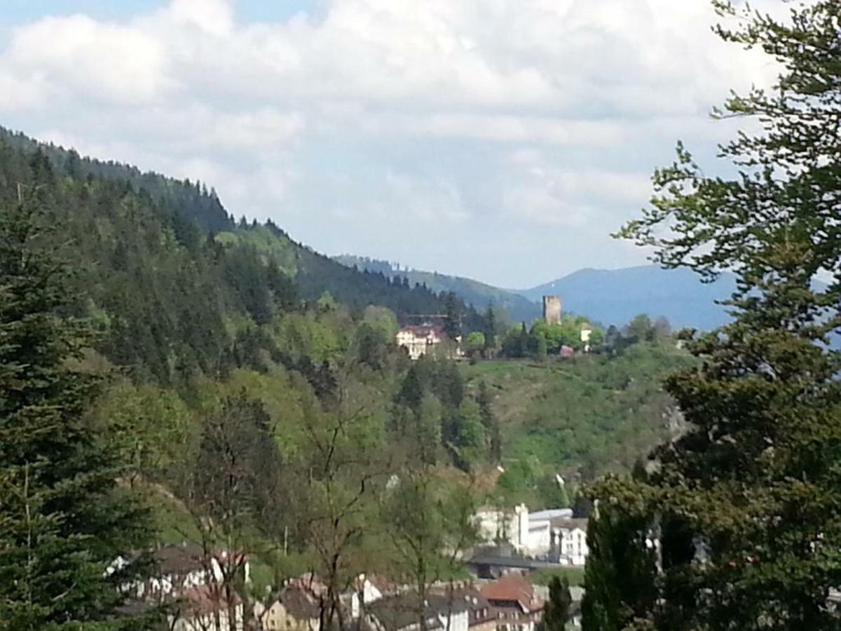 Pension Schwarzwaldblick Hornberg Exterior foto